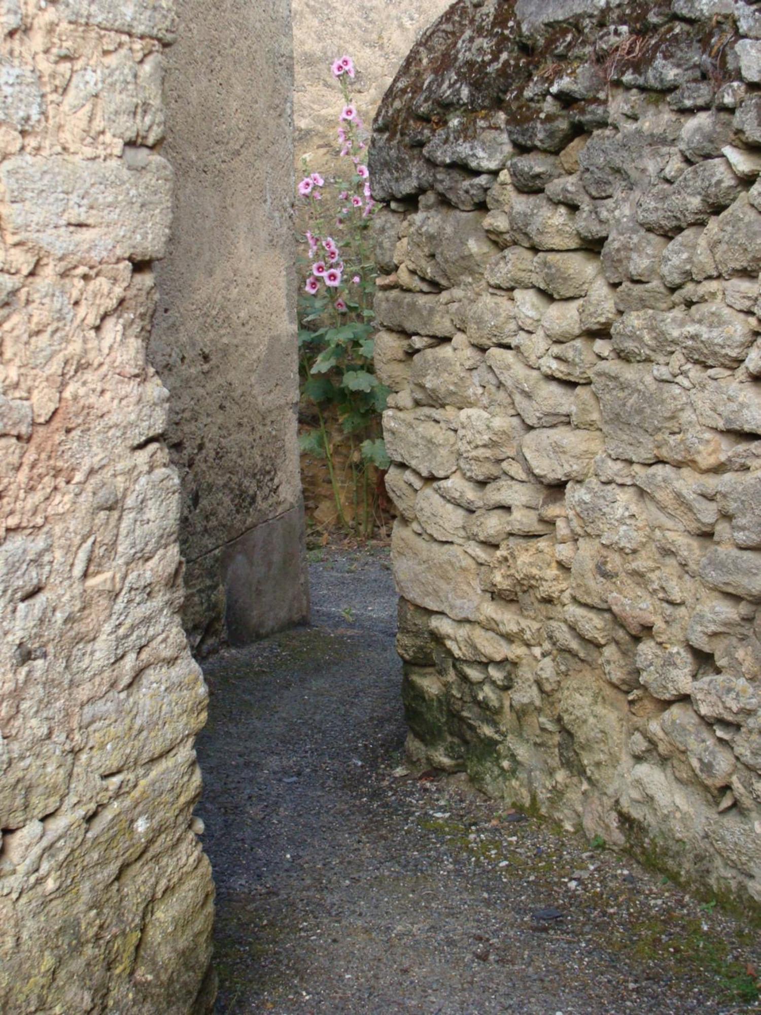 Gite Cote Ruelle Martigné-Briand 외부 사진